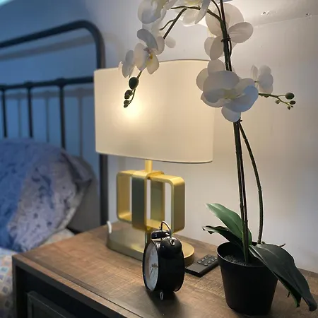 Newly Renovated Elephant Suite, Two Beds, Independent Bathroom Veryquiet-3
